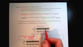 Chem 309 Nucleic Acids Part 4 Genetic Mutations