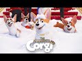 The Queen's Corgi Trailer | 2020