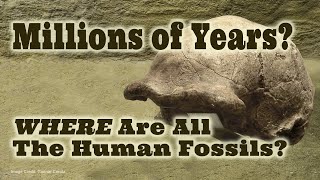 Just 6,000 Human Fossils? Where Are The Rest?
