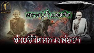 หลวงปู่มั่นถอดจิต ช่วยชีวิตหลวงพ่อชา ถวายชีวิตให้การธุดงค์ ปาฎิหาริย์ หลวงพ่อชา สุภัทโท วัดหนองป่าพง