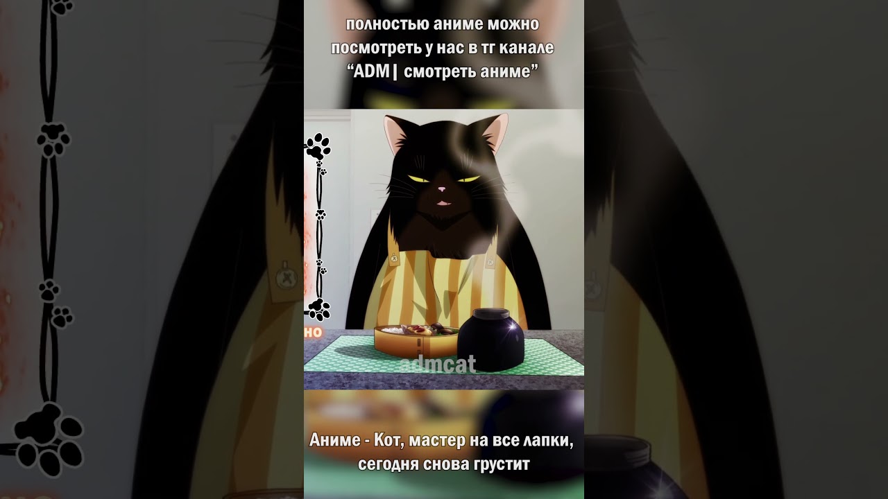 Кот домохозяин аниме