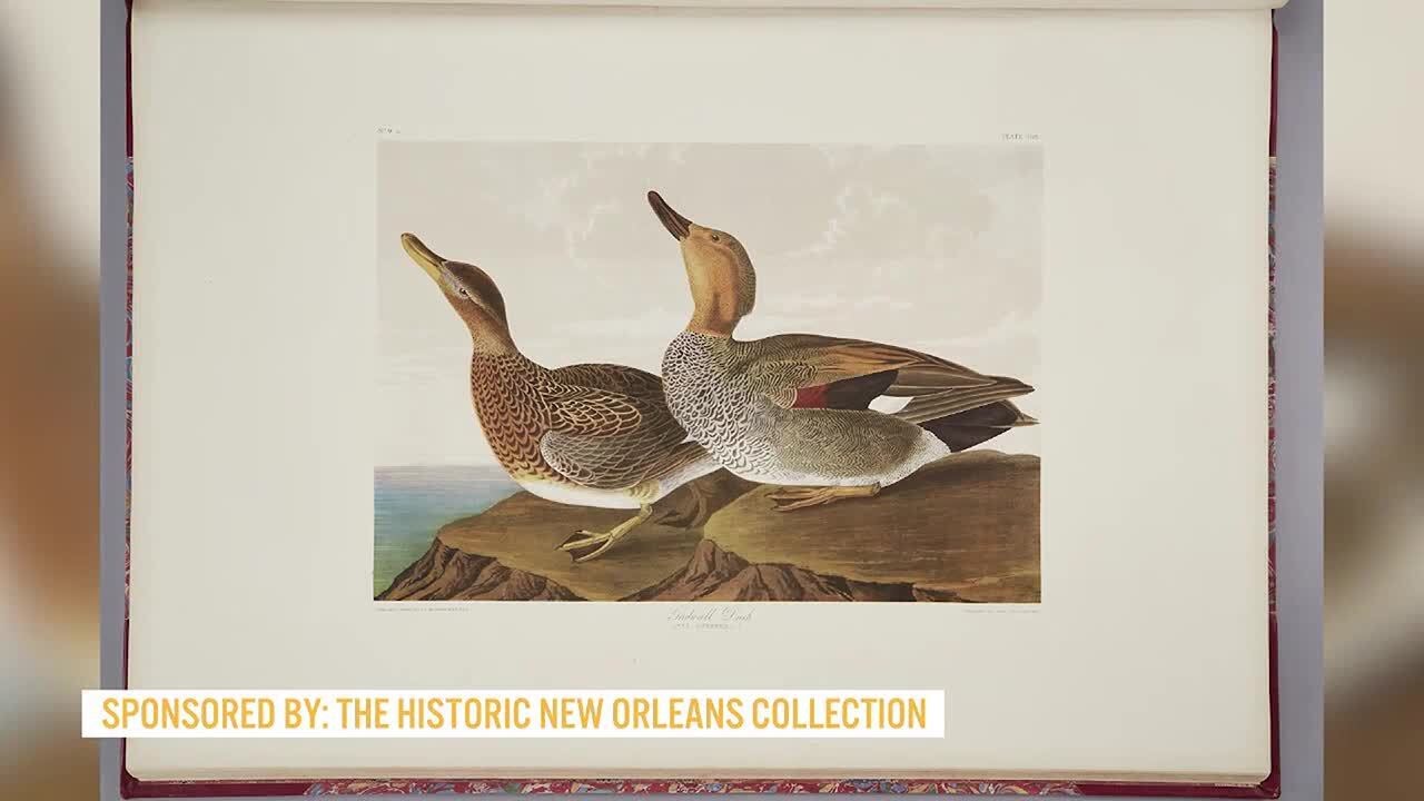 The Historic New Orleans Collection