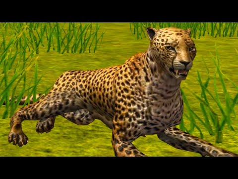 Видео: Симулятор Гепарда #1 Сим Дикой кошки с Кидом в Ultimate Savanna Simulator на пурумчата