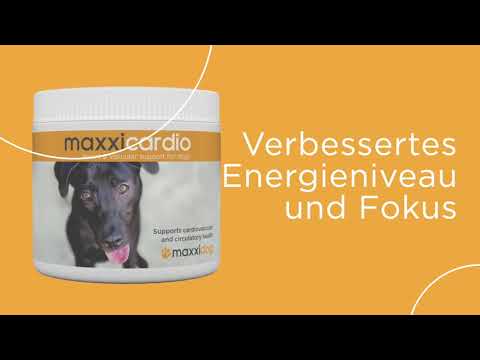 Video: Hjertetumorer (myokardie) Hos Hunde