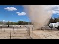 Moving the Lemon Cypress, Treating Scale on Citrus & Mulching in The Wind! 😆🌪💪 // Garden Answer