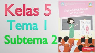 Kita latihan soal lagi ya... di video ini terdapat 44 soal, materi
dari tema 1 subtema 2 kelas 5 memiliki durasi panjang sekitar 17 menit
mencakup pembe...