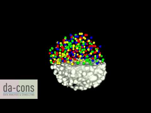 da-cons  -  image processing   spheroid