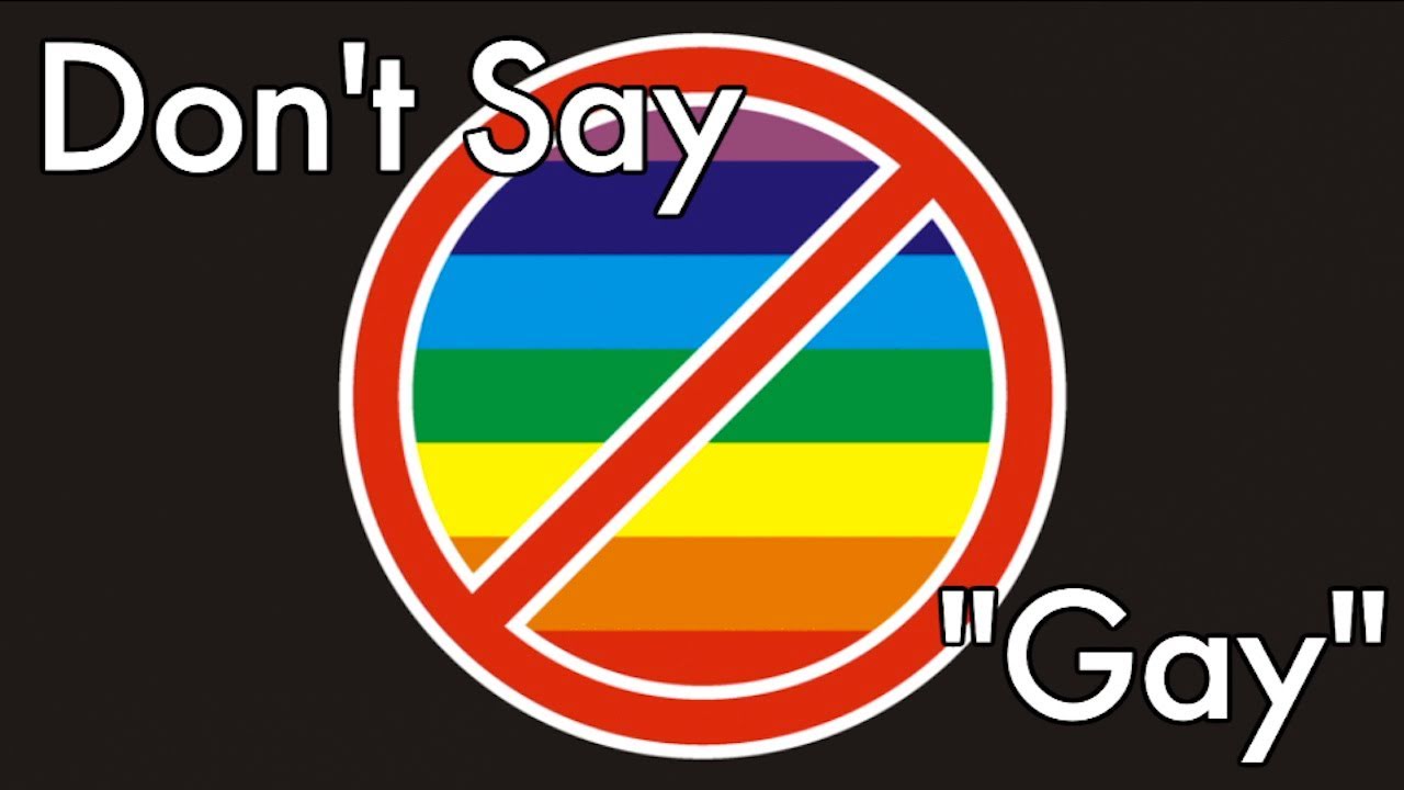 Don't Say Gay (Part Two) - A video response to the video responses to the Don't Say Gay video.