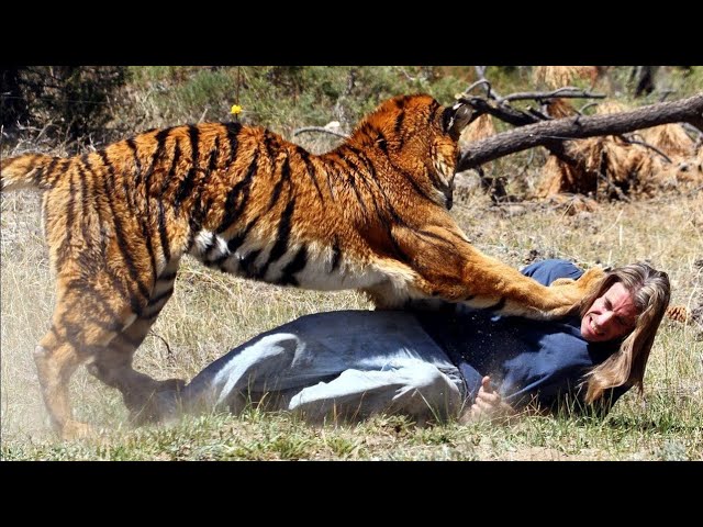 Jungle Horror Scene 😱 | Tiger Attack Viral Video hot girl