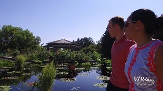 Meet Dr. Barbara Melendez