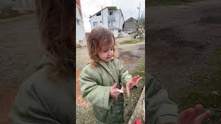 Stikıch Mış Biz Yanlış Biliyor Muşuz