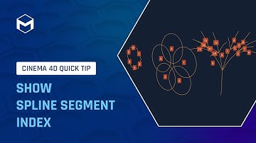 #C4DQuickTip 145: Show Spline Segment index in Cinema 4D