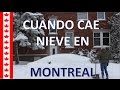 CUANDO CAE NIEVE EN MONTREAL... La tormenta mas fuerte del 2017.