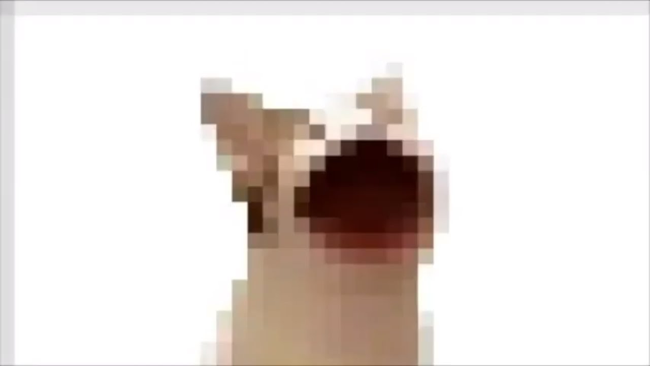 10 Hours of Pop Cat 64 bits 32 bits 16 bits 8 bits 4 bits 1 bit