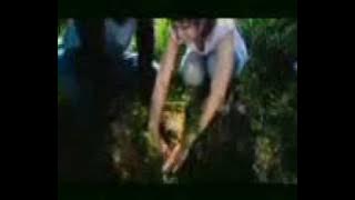 asap band - ingatkah kamu