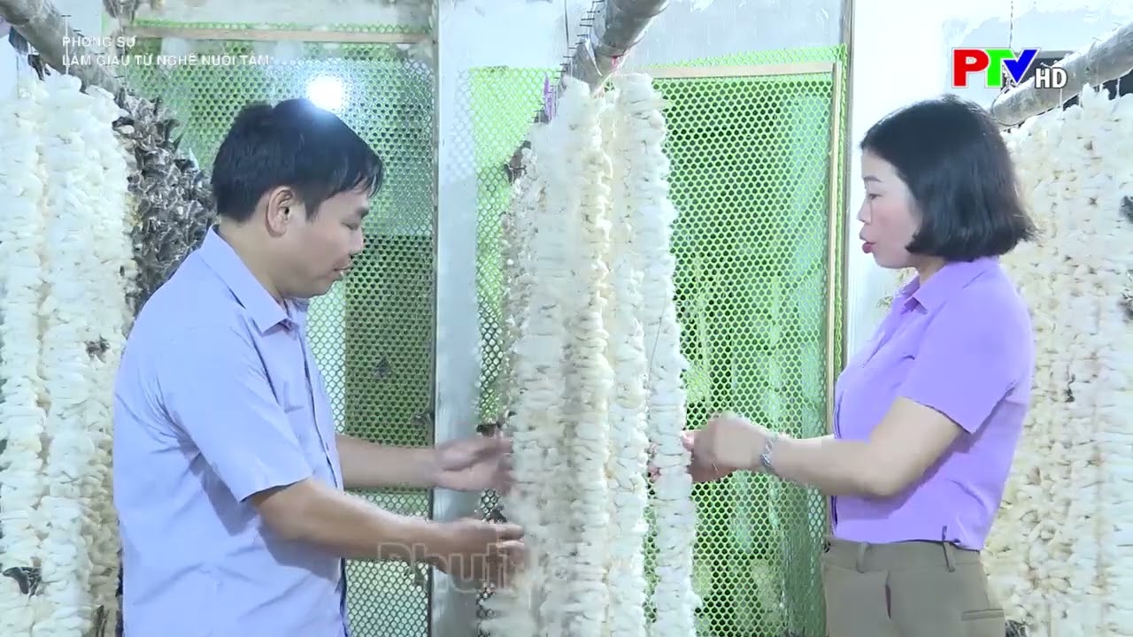 Làm giàu từ sản xuất Trứng và chăn nuôi tằm lá sắn.