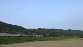 JR貨物 東海道本線 8057レ EF210-154(代) 2015.07.30