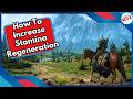 How To Increase Stamina Regeneration in Witcher 3