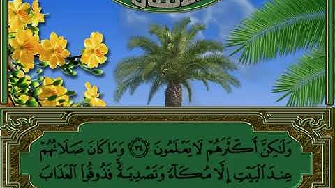 ما تيسر من سورة الأنفال -  الشيخ/ حاتم فريد الواعر