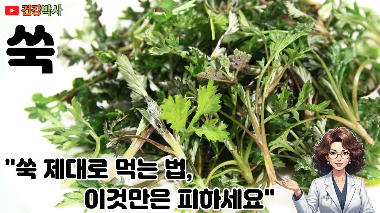 쑥 효능 7가지, 쑥 제대로 먹는 법, 이것만은 피하세요 #쑥효능 #쑥주의사항 #쑥차
