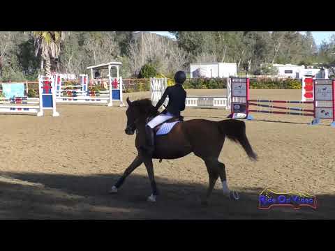 horseshoe bend 128S Hailey Weber on SE Gin Fizz Novice Rider Show Jumping Copper Meadows March 2019