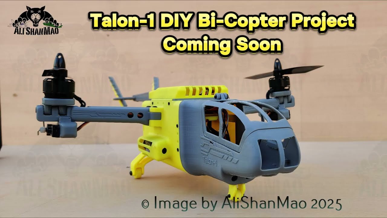 Talon-1 Your Ultimate and Cheap DIY Bi-Copter Project 
