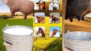 Milking a 🐄 game android ios gameplay ||kuGo gaming channel || screenshot 2