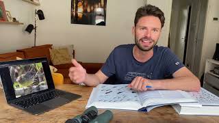 Zapata Sparrow - Arjan Dwarshuis Big Year Phauna