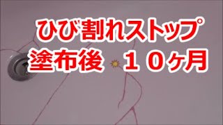 【検証】ひび割れストップは使える商品なのか調べてみた。　一度目の塗布から１０ヶ月後にどうなっているか紹介していきます。