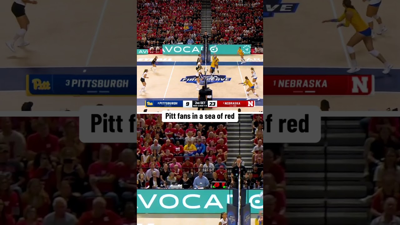 That fan is brave 😂 