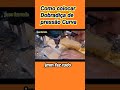 Como colocar porta com dobradiça de pressão Curva #marcenaria
