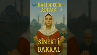 Eser Tanıtımı, Sinekli Bakkal-Halide Edib Adıvar