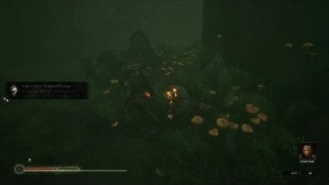 Mortal Shell-NG+ Grisha mini boss destruction with Tiel