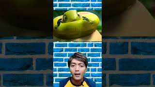 Kisah Ulat Yang Berubah Menjadi Kupu-kupu Tapi Akhirnya??? #alurcerita #storytelling #shorts #viral