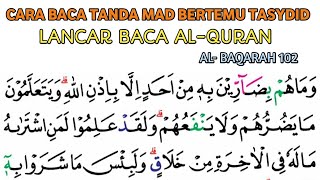 LANCAR BACA AL-QURAN SURAH AL-BAQARAH AYAT 102 DENGAN TEKNIK BACA HUKUM TAJWID AL-QURAN LANCAR BACA AL-QURAN SURAH AL-BAQARAH AYAT 102 DENGAN TEKNIK BACA HUKUM TAJWID AL-QURAN