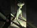 Master Mantis in the Silent Temple