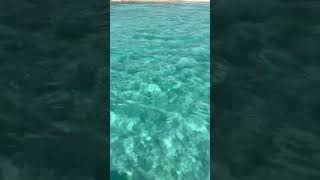 Green Cay-Bahamas♥️