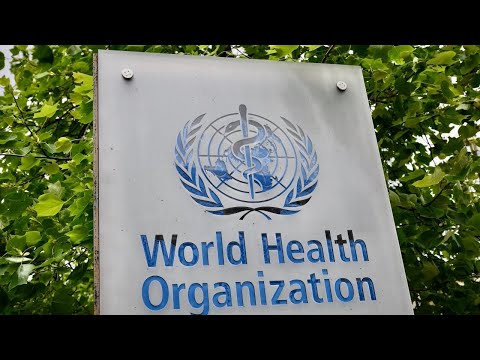 WATCH: The World