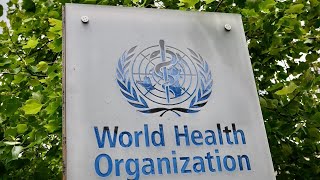 WATCH: The World Health Organization holds a briefing on coronavirus