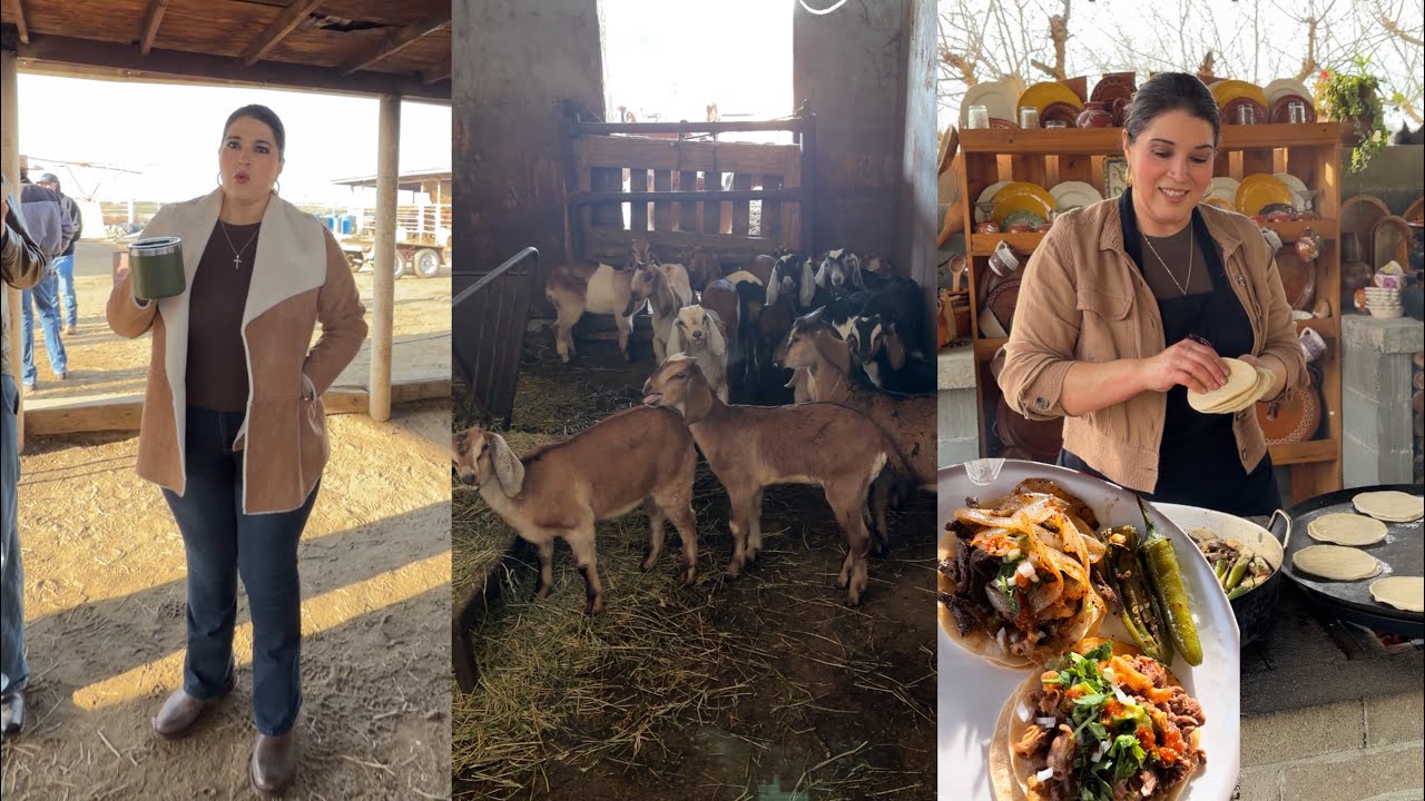 DÍA DE PAJARETES Y TACOS DE TRIPA, HÍGADO, Y BISTEC!!