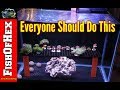 How To Setup A Coral Quarantine Tank | It Saved My 300 Gallon Reef