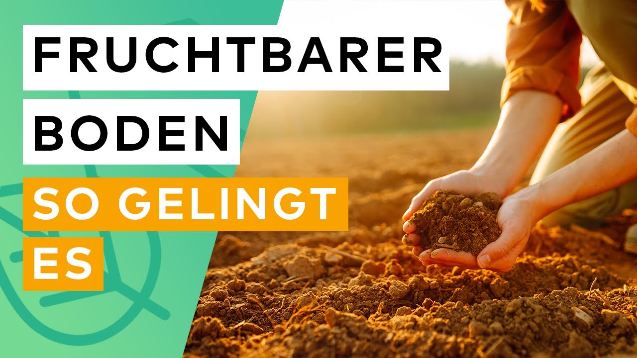 Gartenboden verbessern: Sandige, Lehmige und Tonige Böden aufwerten