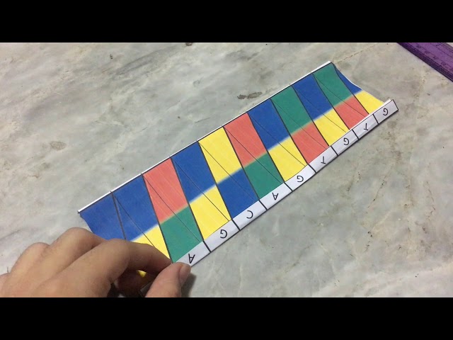 Origami Dna Model Video Better Method For Building With DNA BBC News