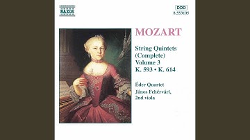 String Quintet No. 5 in D Major, K. 593: I. Larghetto - Allegro