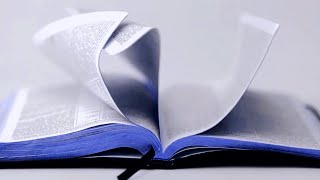 Nina Hagen - Das 5. Gebot : 'Du sollst nicht töten' + Lyrics on Screen [inspired by Martin Luther]