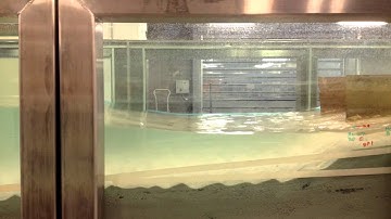 Wave ripple migration time lapse