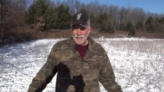 An Over-Population of Deer Wiping Out Soybeans