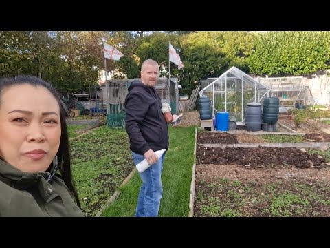 No more LDR for 11 Day's only l Dropping by to our Allotment then Food Shopping in Aldi 🇬🇧🇵🇭