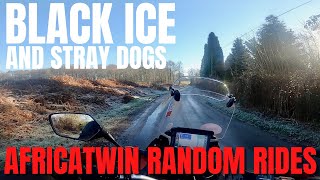 AFRICATWIN | BLACK ICE | STRAY DOGS | Random rides