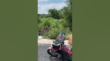 Xã cần giuộc ( Dt : 21 x 45,5 ) = 951 mv đất lúa khu chuyể thổ ok LH : 0902,743,559 dẫn xem đất